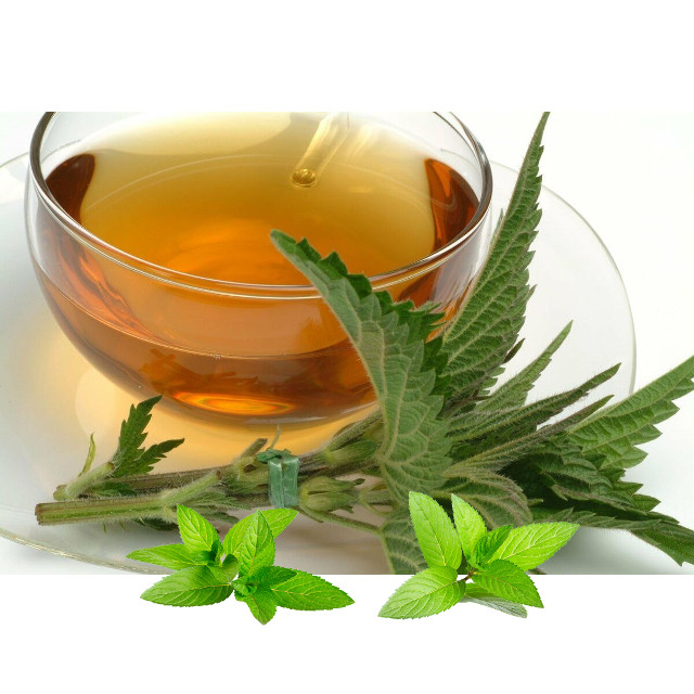 Kopriva list(Urtica dioica folium) - Slika 2