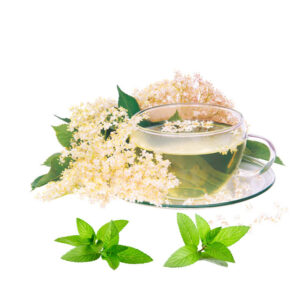 Zova cvet (Sambucus nigra fructus)
