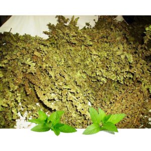 Matičnjak list (Melissa officinalis) 500g
