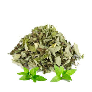 Divlja nana (Mentha aquatica)