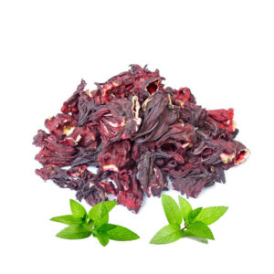Hibiskus cvet ceo (Hibiscus)