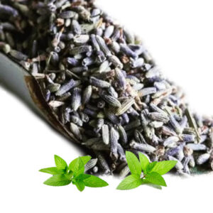 Lavanda cvet