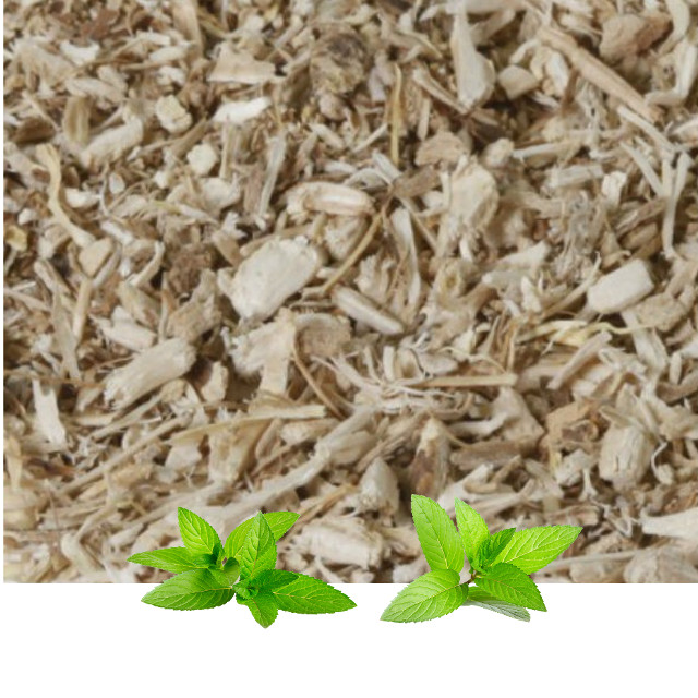 Cikorija koren konc(Cichorium intybus radix) - Slika 2
