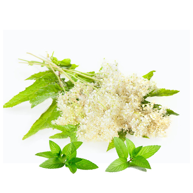Medunika konc (Spiraeae ulmariae herba)